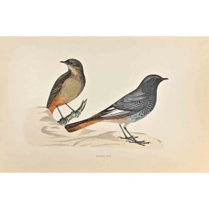 Blackstart
