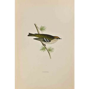 Goldcrest