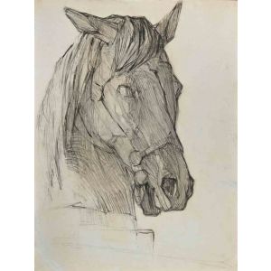 Horse's Head