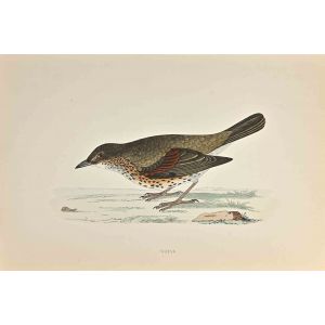Thrush