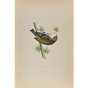 Firecrest