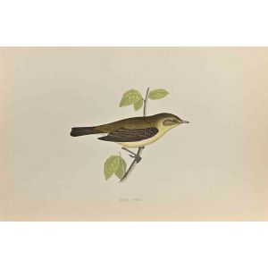 Chiff Chaff