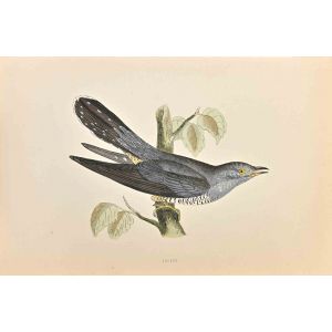 Cuckoo