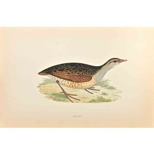 Land-Rail