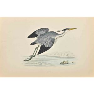 Heron