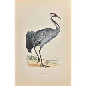 Crane