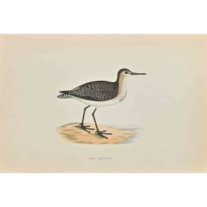 Wood Sandpiper