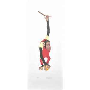Monkey 