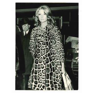 Silva Koscina - Vintage Photograph  