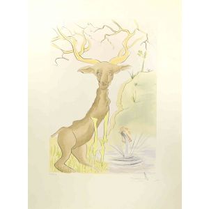 The Stag Reflected in the Water