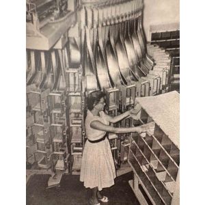 Women Working -Women's Rights  Photos  