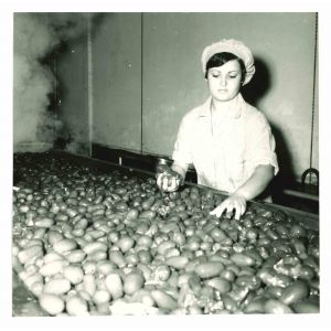 Women's Rights Movement - Historical Photos  