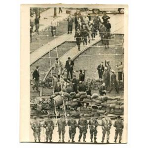 War in Algeria - Historical Photo 