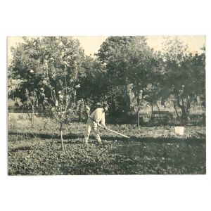 The Old Days - Historical Photo   