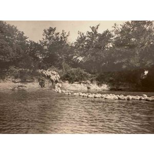 The Old Days  Photo - Herds