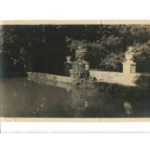In the Garden