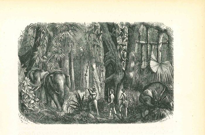 The Elephant Hunters
