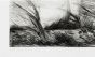 Two Lake Landscapes by Anonymus - Contemporary Artworks
