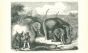 The Elephant Hunting