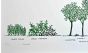 A Way of Different Trees