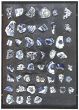 Untitled by Jannis Kounellis - Contemporary Artwork