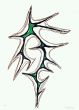 Trama Con Verde by Nino Franchina - Contemporary Artwork