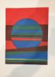 Plate III from Suns/Landscapes by Roberto Crippa - Contemporary Artwork 