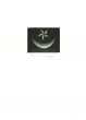 Watermelon and Star by Mario Avati -Contemporary Artwork