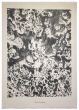 Theme Dramatique is an original lithograph on watermarked paper "Arc". Abstract composition by the French artist Jean Dubuffet. From the album of "Theatre du sol" (1953-1959). In excellent conditions.