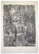 Texture Profuse is an original lithograph on watermarked paper "Arc". Abstract composition by the French artist Jean Dubuffet. From the album of "Theatre du sol" (1953-1959). In excellent conditions.