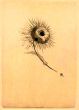 Les Fleurs du Mal