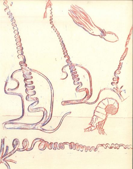 Pink Composition from Le XX Siècle by Max Ernst - Contemporary Artwork