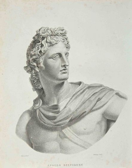 Portrait of Apollo Belvidere - SOLD