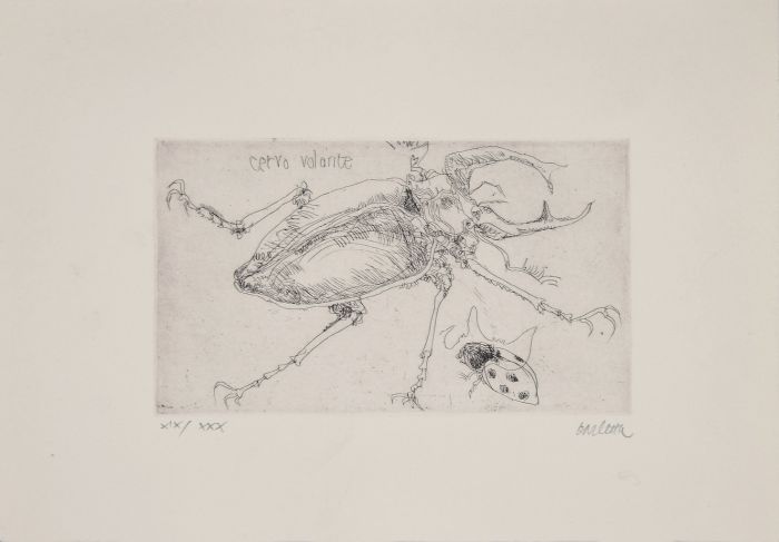 "Insects" by Sergio Barletta - Contemporary Artwork