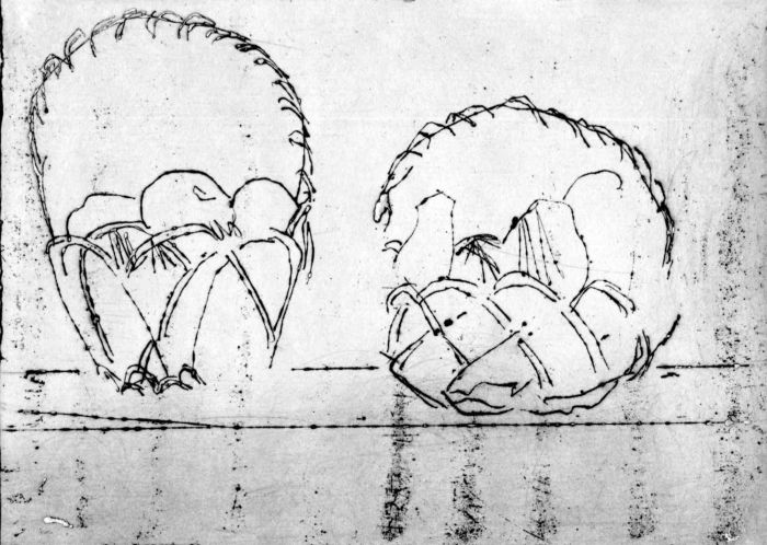 Still Life
