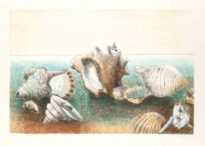 Seashells