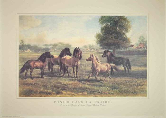 Poinies dans la Prairie