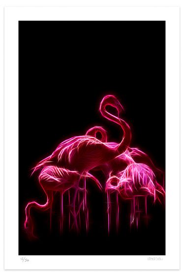 Flamingos by Dadodu - Contemporary Art Print