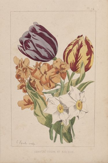 Carnation Tulip And Narcissus by Emile Henri Laporte -  Modern Artwork