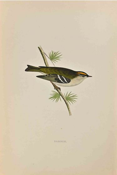 Goldcrest