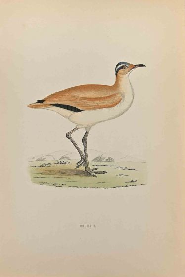 Gourser