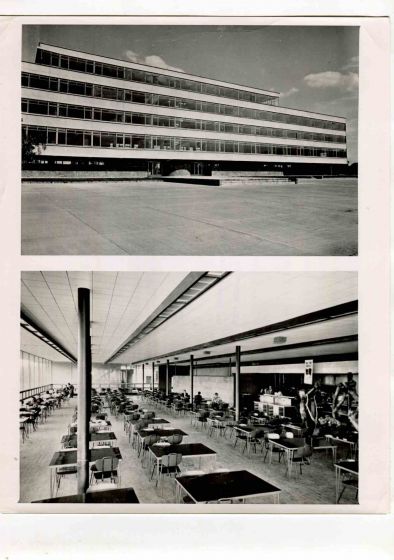 Pan-American Games - American Vintage Photograph