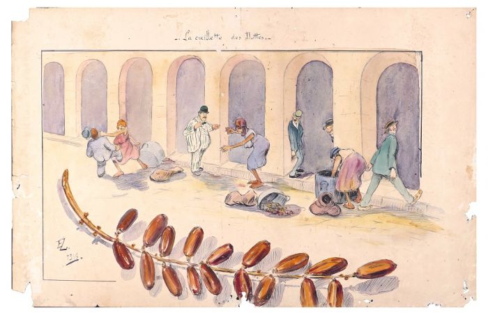 La cueillette de Dattes