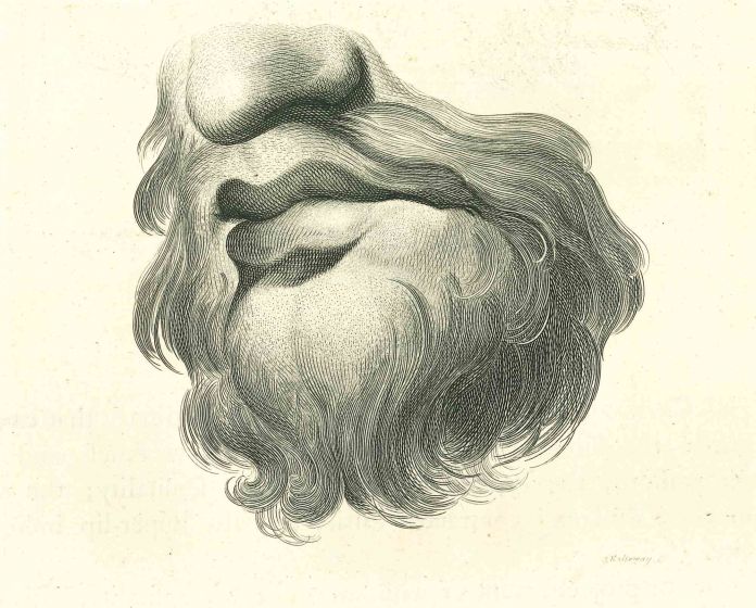 Lips Portrait