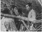 A Scene from the Movie The Seven Samurai