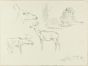 Study of animals by Wilhelm Lorenz - Modern Artwork