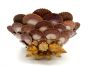 
Marine Shells Cachepot by Anonymous  - Decorative Object