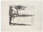 Landscape by Arturo Tosi - Modern Artwork