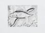 Fish by Bouval - Modern Artwork