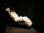 Chaise Longue by LCQUARTZ - Design Furniture 